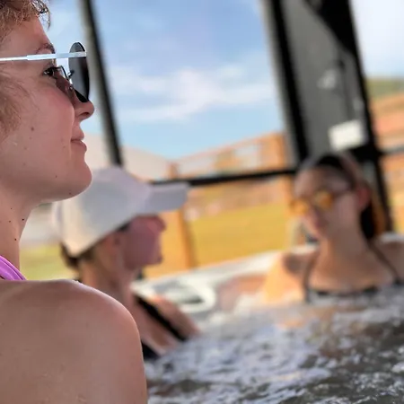 Palac Pod Bocianim Gniazdem 旅馆 *