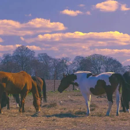 Palac Pod Bocianim Gniazdem Hostel
