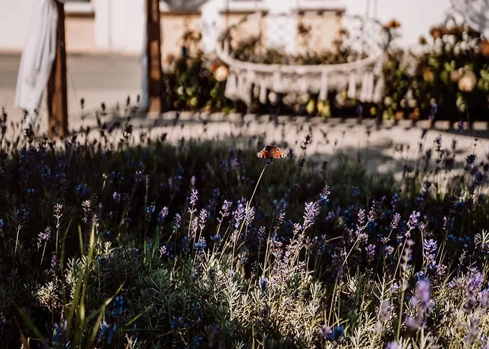 Palac Pod Bocianim Gniazdem 旅馆 Runowo (Pomerania)