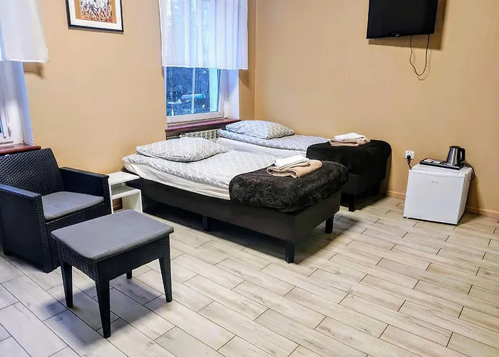 Palac Pod Bocianim Gniazdem 旅馆 *