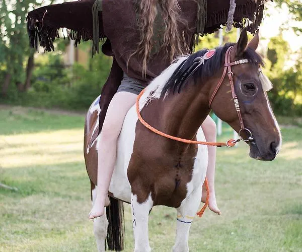 Palac Pod Bocianim Gniazdem * Runowo (Pomerania)