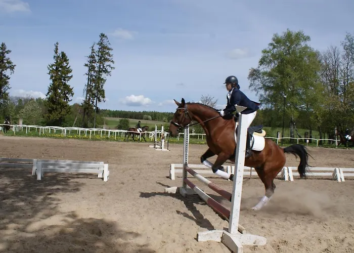 Palac Pod Bocianim Gniazdem 旅馆 Runowo (Pomerania)