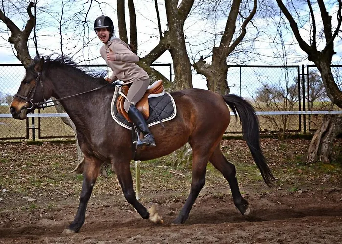 Palac Pod Bocianim Gniazdem