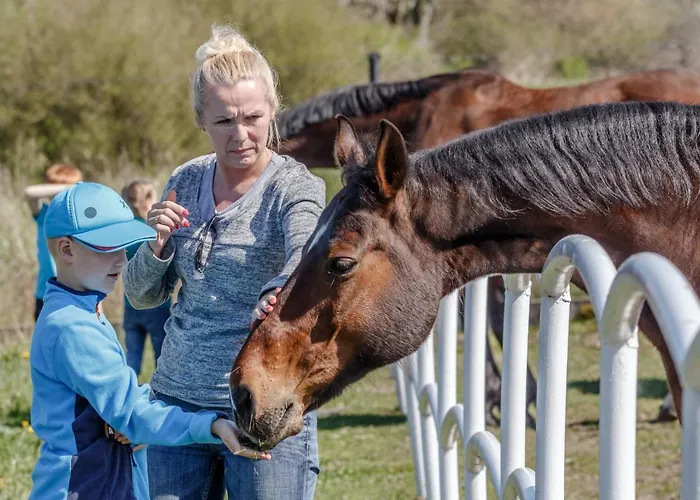 旅馆 Palac Pod Bocianim Gniazdem