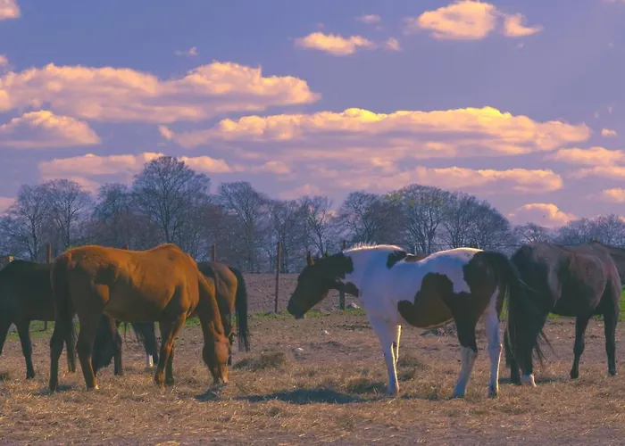 Palac Pod Bocianim Gniazdem 旅馆